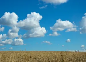 Cisco & the Cloud